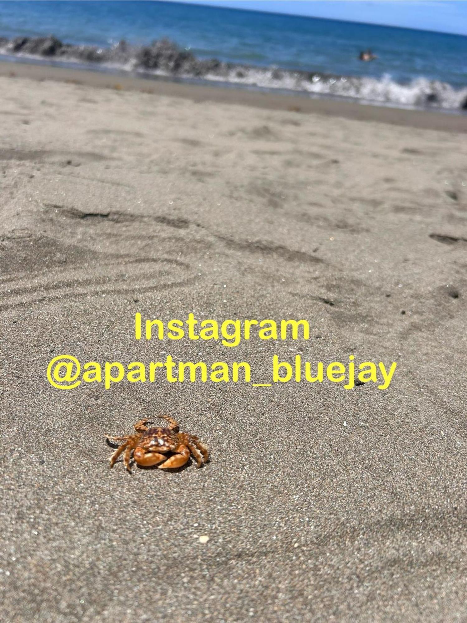 Appartamento Bluejay Playa Del Cura *